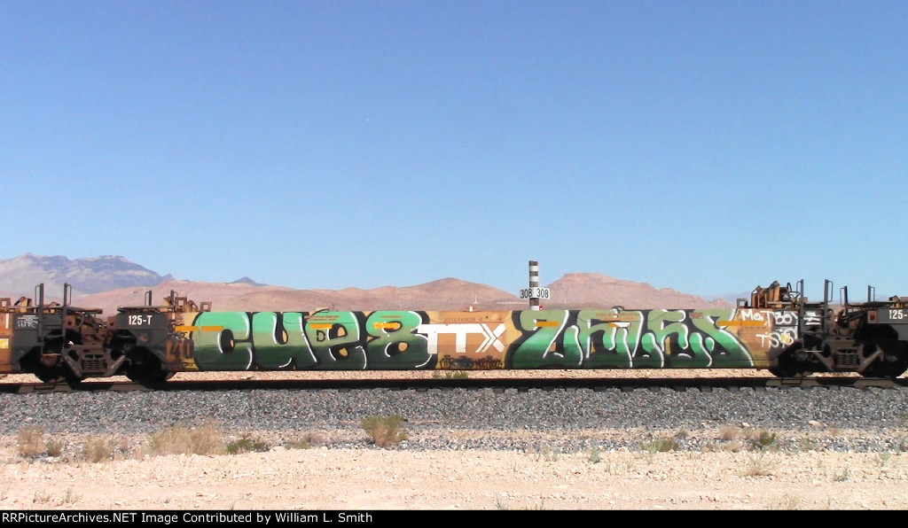 WB Unit Container Frt at Erie NV -66